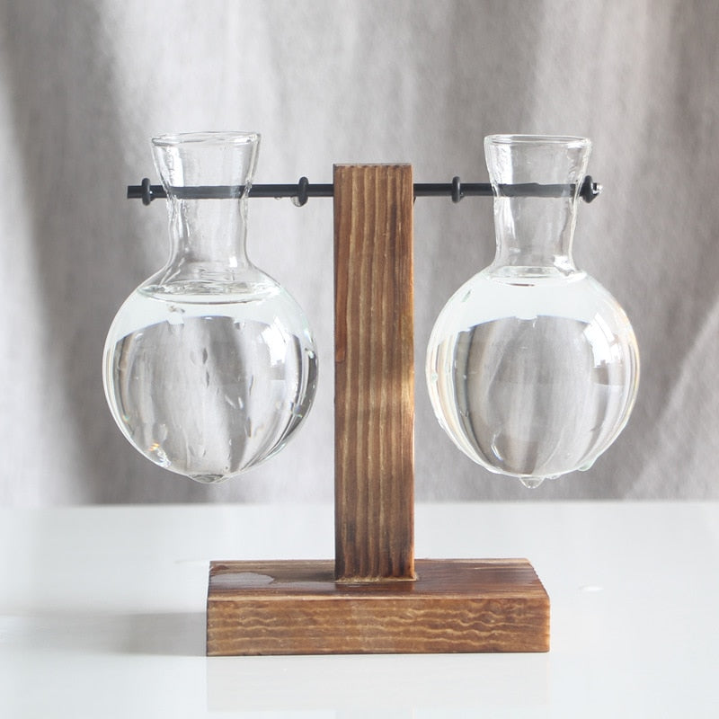 Hydroponic Glass Vase with Wooden Stand