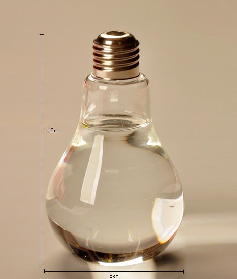 Retro Glass Bulb Vase