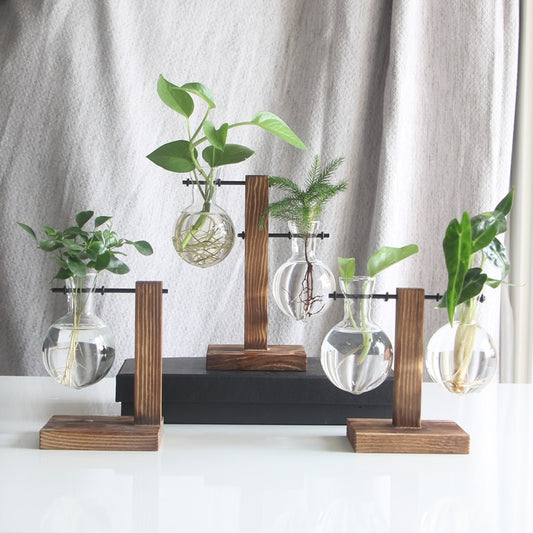 Hydroponic Glass Vase with Wooden Stand