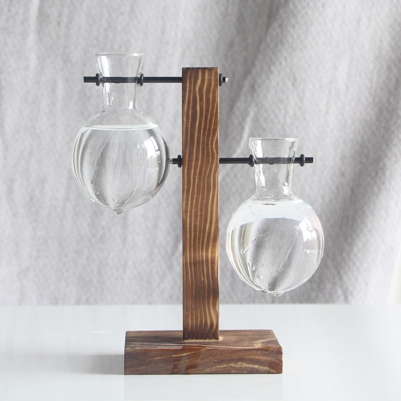 Hydroponic Glass Vase with Wooden Stand