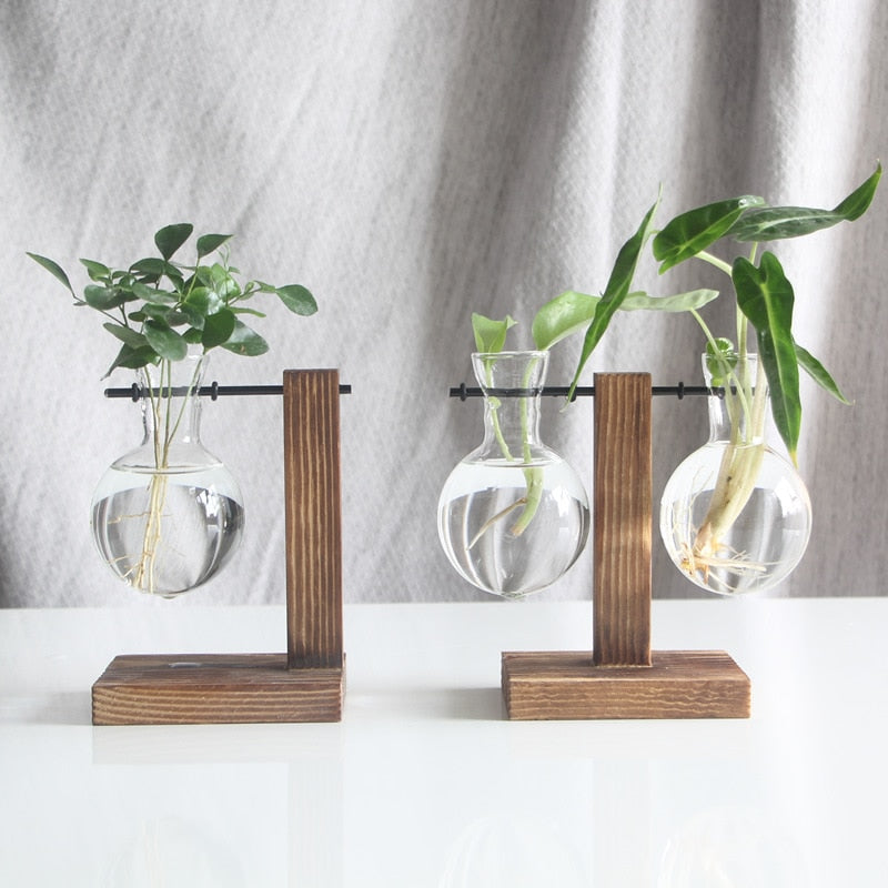 Hydroponic Glass Vase with Wooden Stand