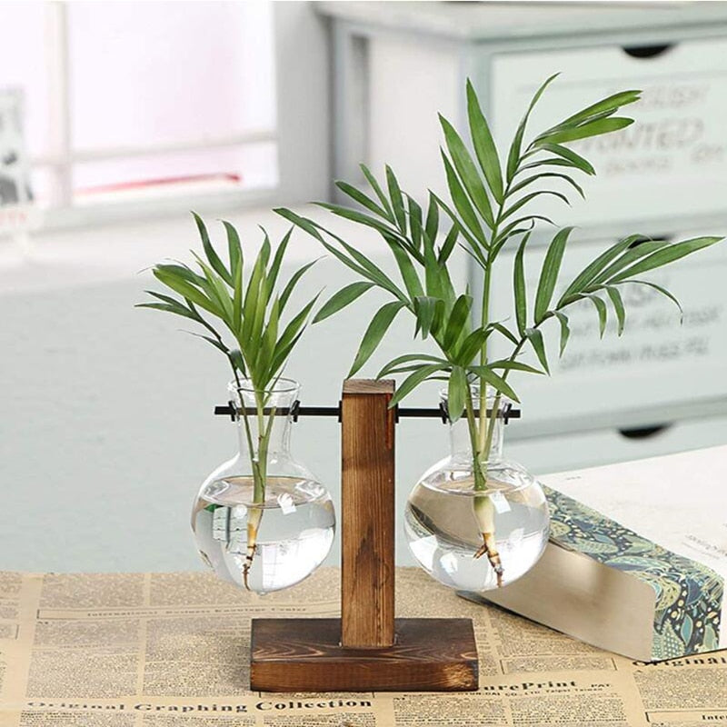 Hydroponic Glass Vase with Wooden Stand